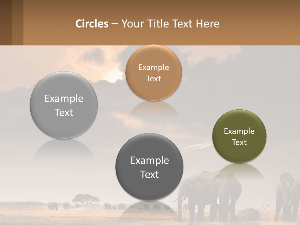 Coastal Caucasian Elderly PowerPoint Template