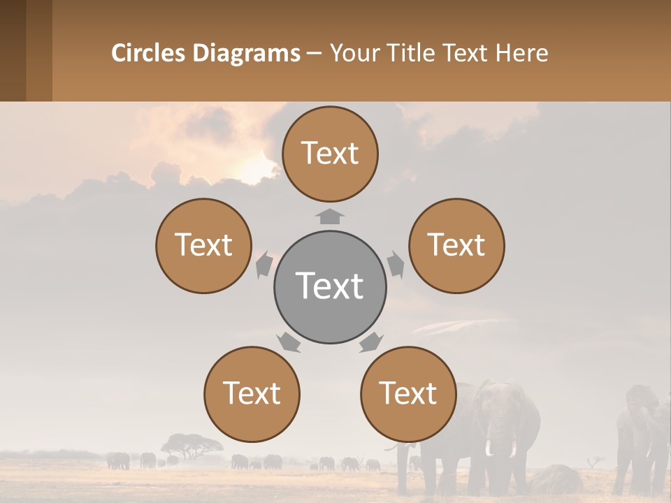 Coastal Caucasian Elderly PowerPoint Template