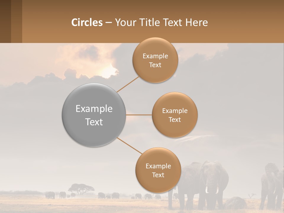 Coastal Caucasian Elderly PowerPoint Template