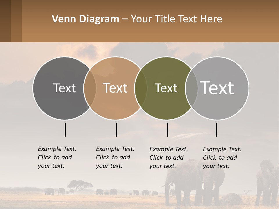 Coastal Caucasian Elderly PowerPoint Template