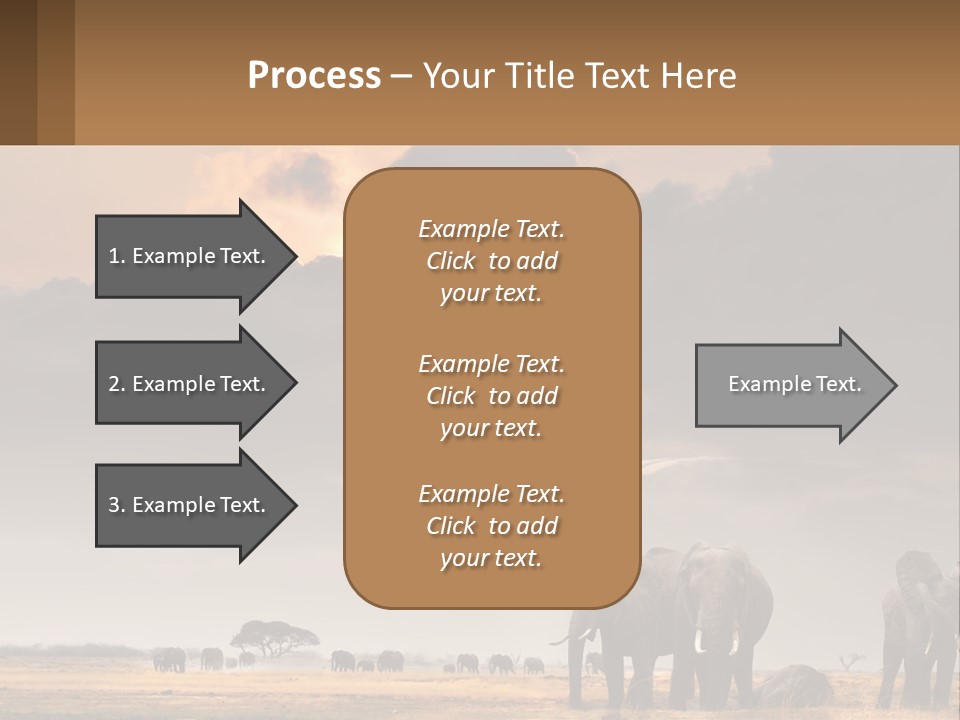 Coastal Caucasian Elderly PowerPoint Template