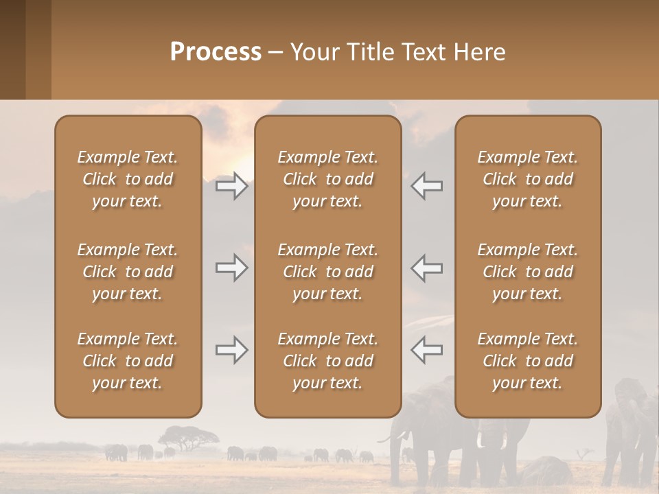 Coastal Caucasian Elderly PowerPoint Template