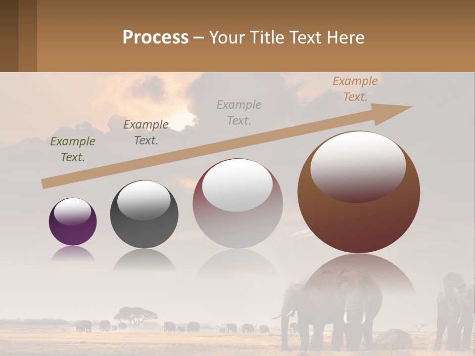 Coastal Caucasian Elderly PowerPoint Template