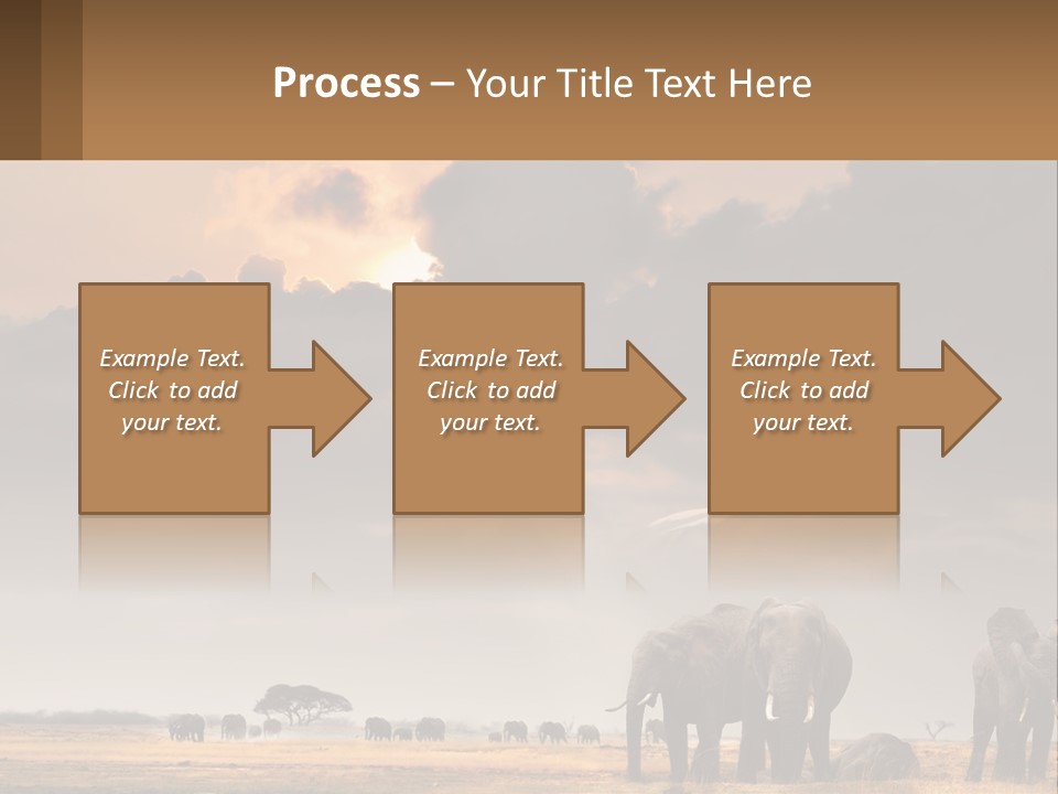 Coastal Caucasian Elderly PowerPoint Template