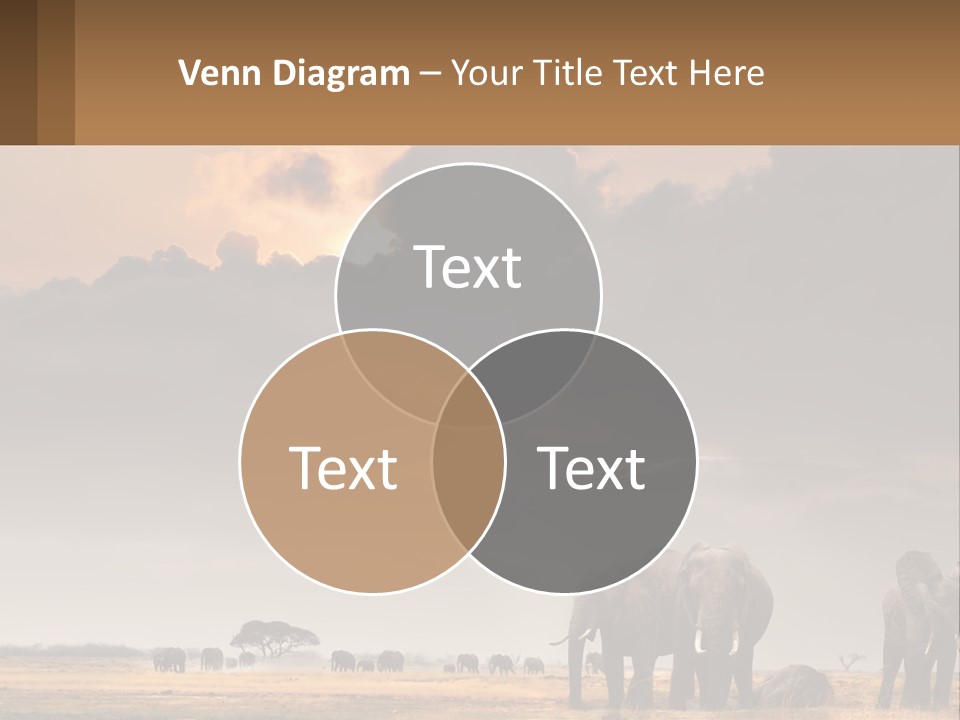 Coastal Caucasian Elderly PowerPoint Template