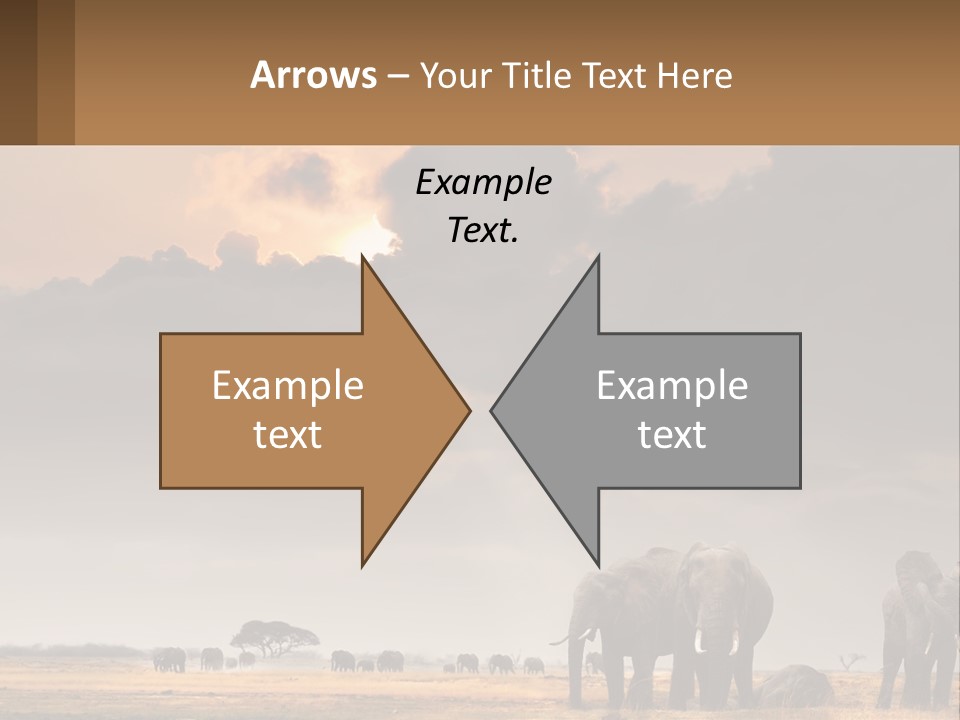 Coastal Caucasian Elderly PowerPoint Template