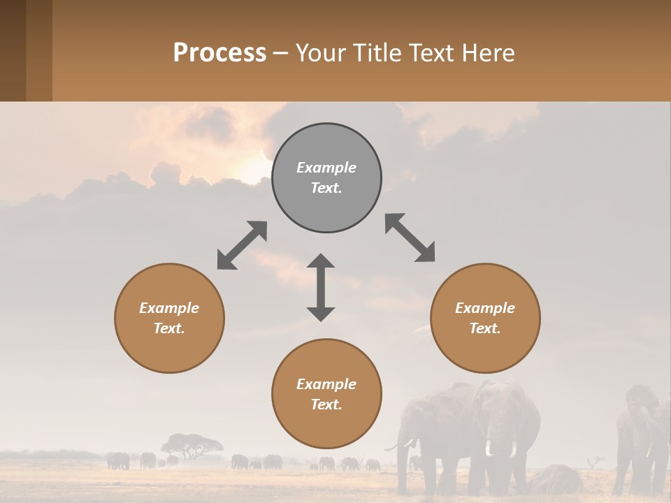 Coastal Caucasian Elderly PowerPoint Template