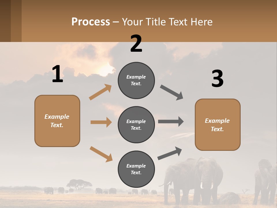 Coastal Caucasian Elderly PowerPoint Template