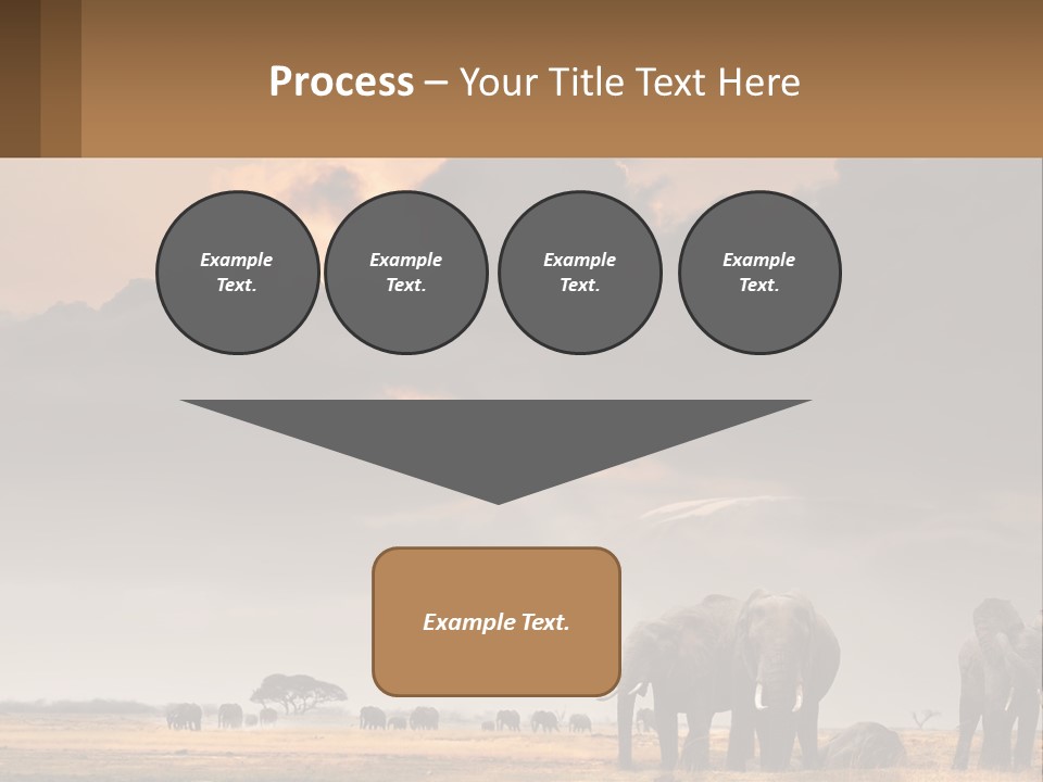 Coastal Caucasian Elderly PowerPoint Template