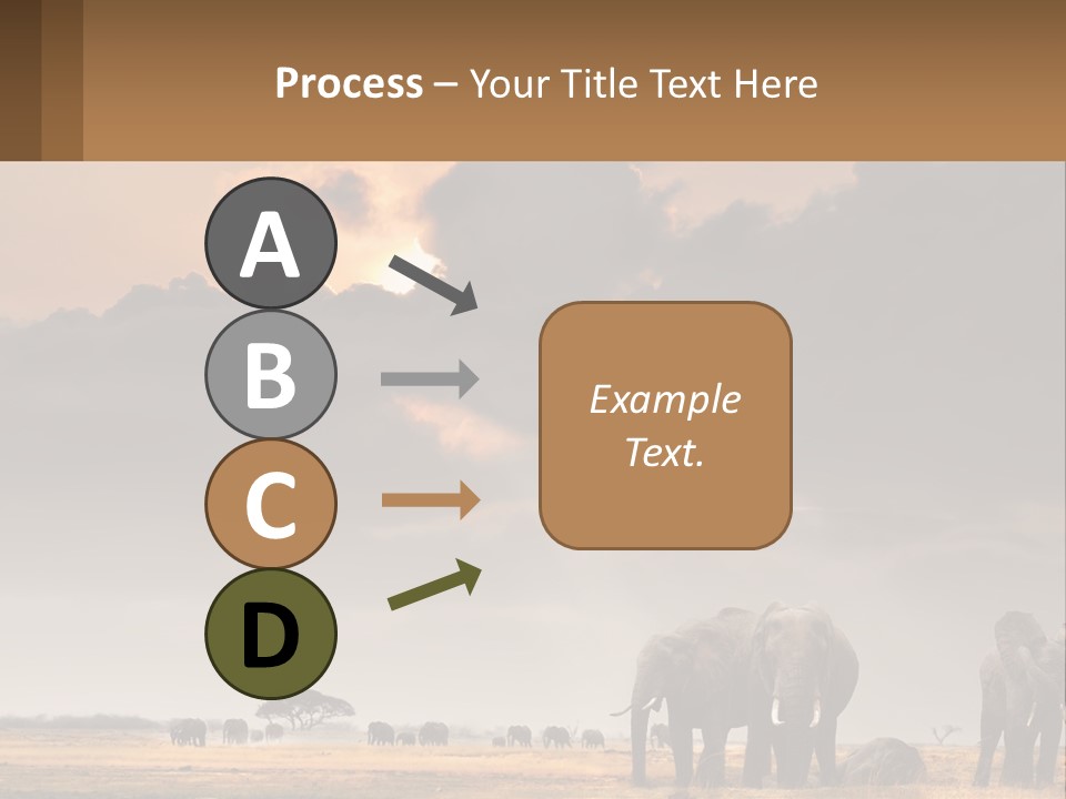 Coastal Caucasian Elderly PowerPoint Template