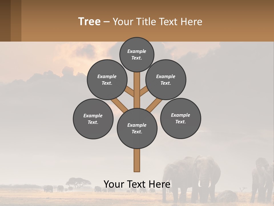 Coastal Caucasian Elderly PowerPoint Template