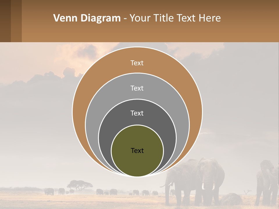 Coastal Caucasian Elderly PowerPoint Template