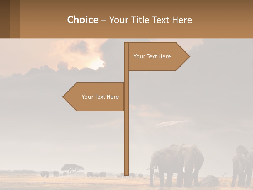 Coastal Caucasian Elderly PowerPoint Template