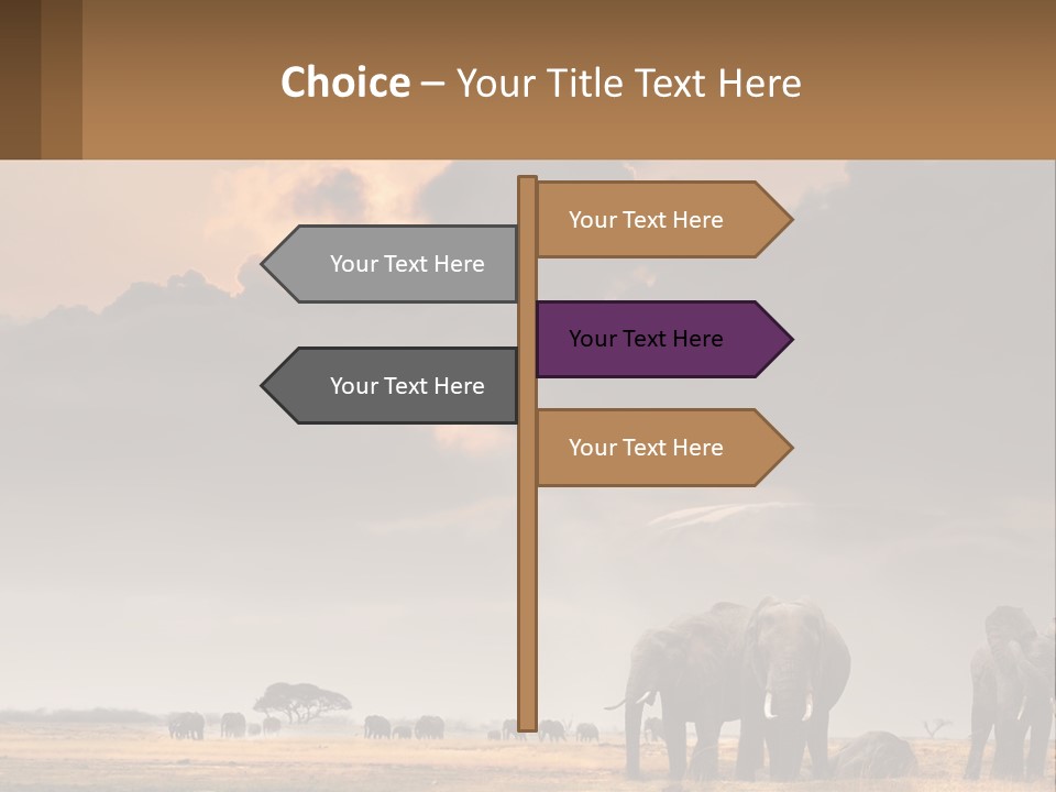 Coastal Caucasian Elderly PowerPoint Template