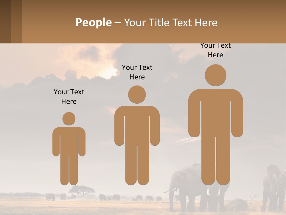 Coastal Caucasian Elderly PowerPoint Template