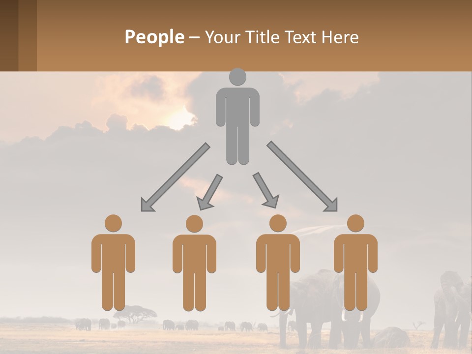 Coastal Caucasian Elderly PowerPoint Template