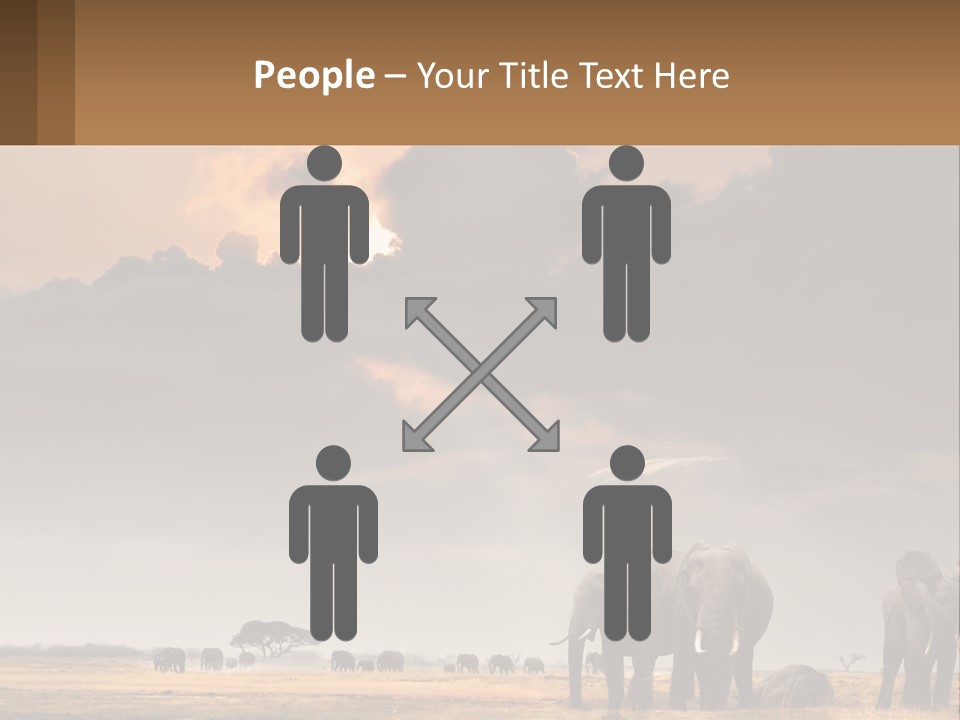 Coastal Caucasian Elderly PowerPoint Template