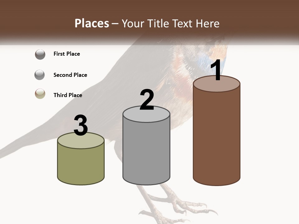 System Electric Technology PowerPoint Template