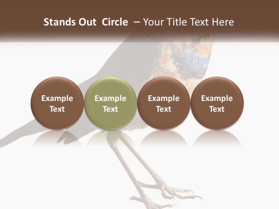 System Electric Technology PowerPoint Template