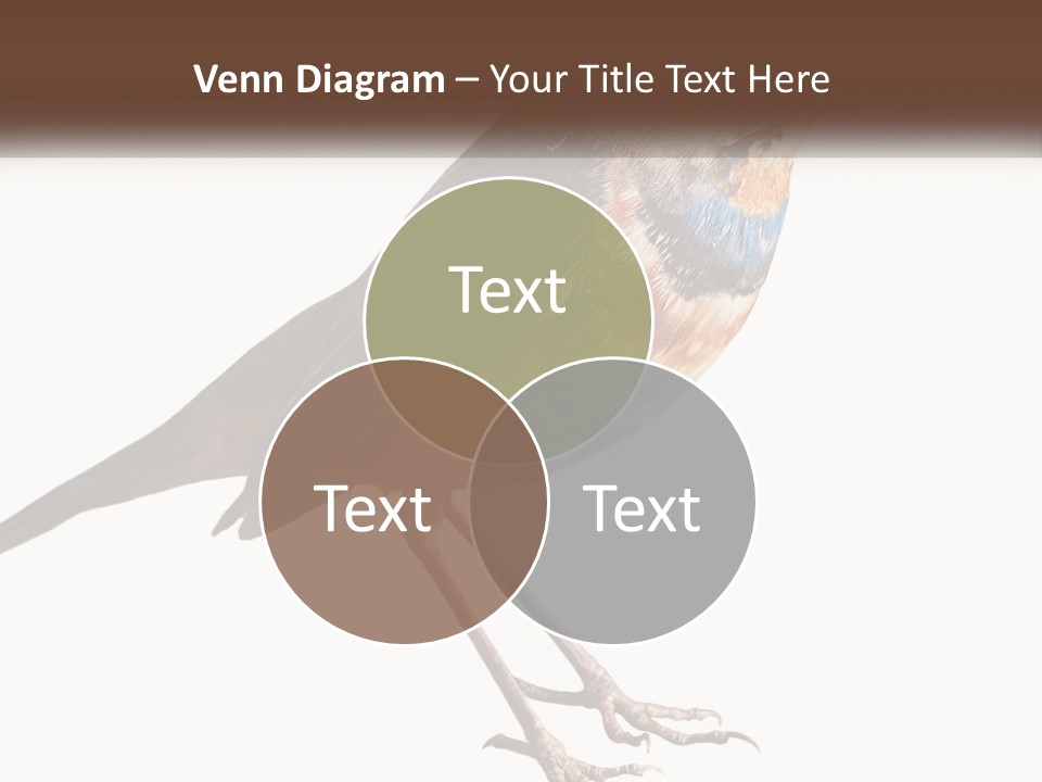 System Electric Technology PowerPoint Template