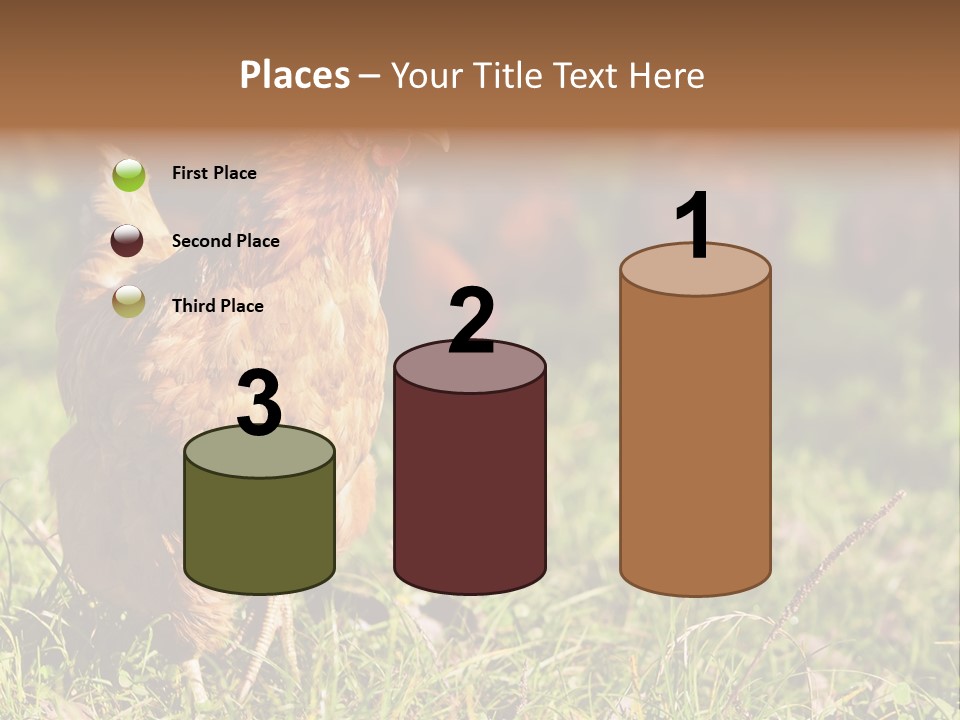 Home House Unit PowerPoint Template