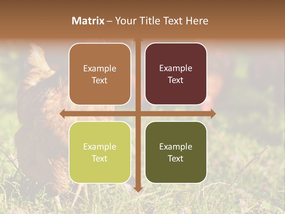 Home House Unit PowerPoint Template