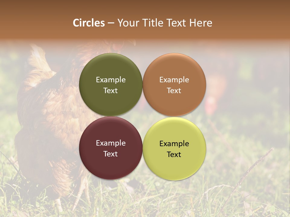Home House Unit PowerPoint Template