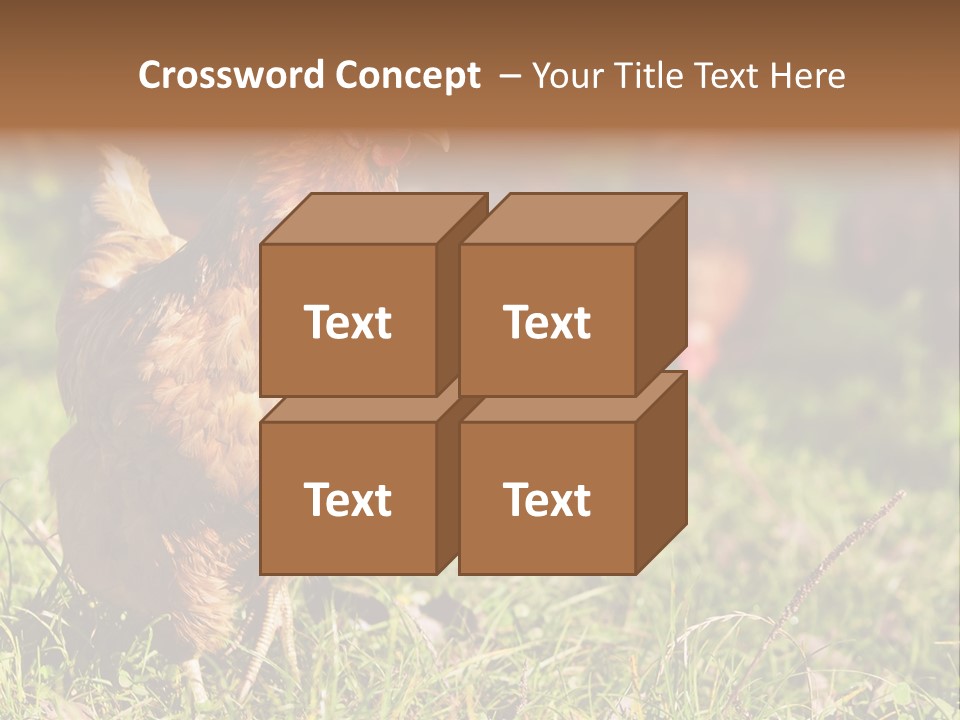 Home House Unit PowerPoint Template