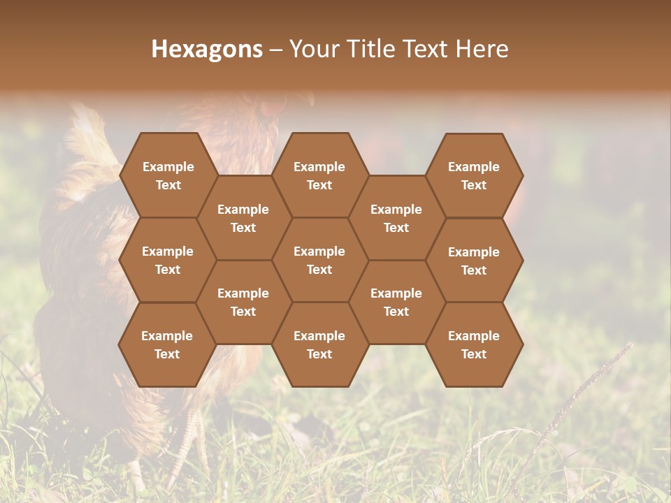 Home House Unit PowerPoint Template