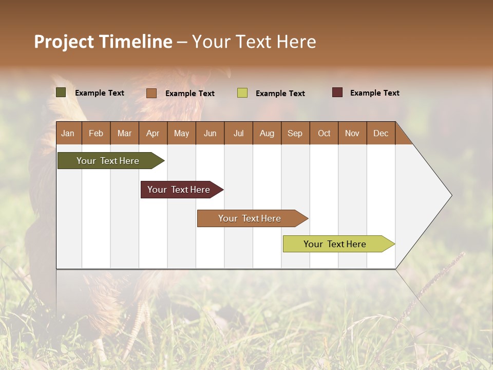 Home House Unit PowerPoint Template