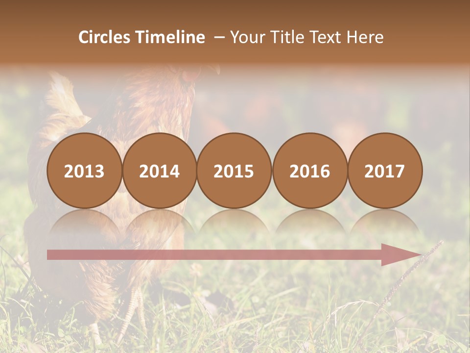 Home House Unit PowerPoint Template