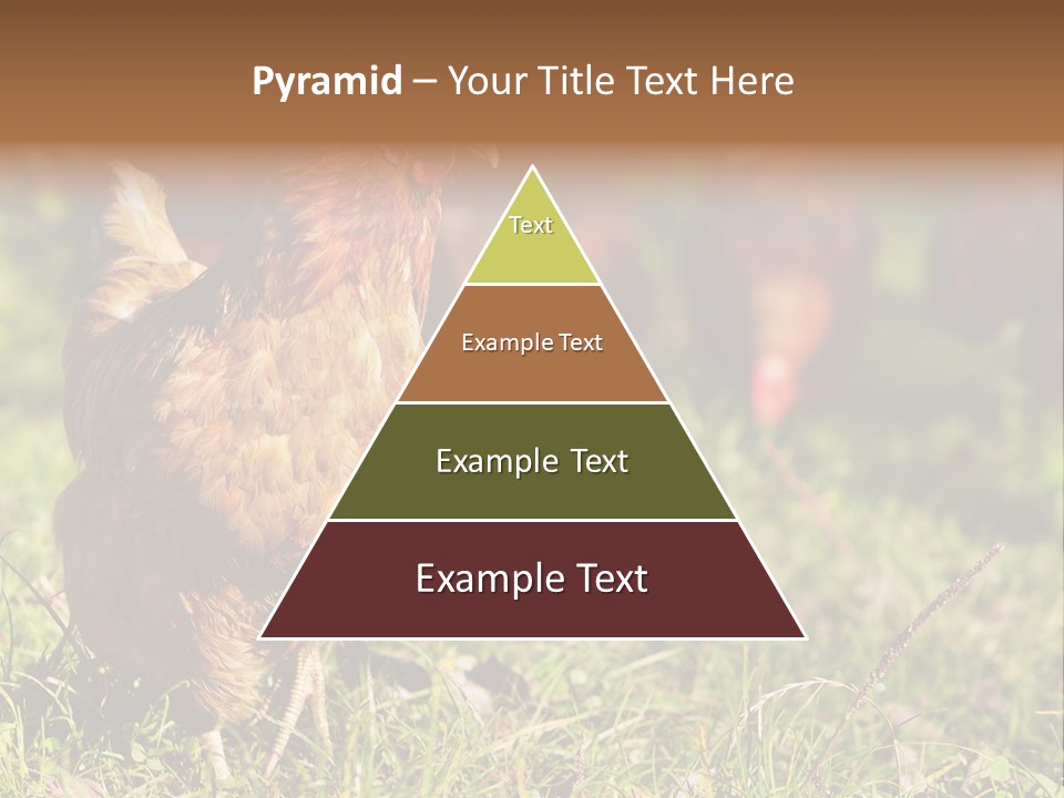 Home House Unit PowerPoint Template