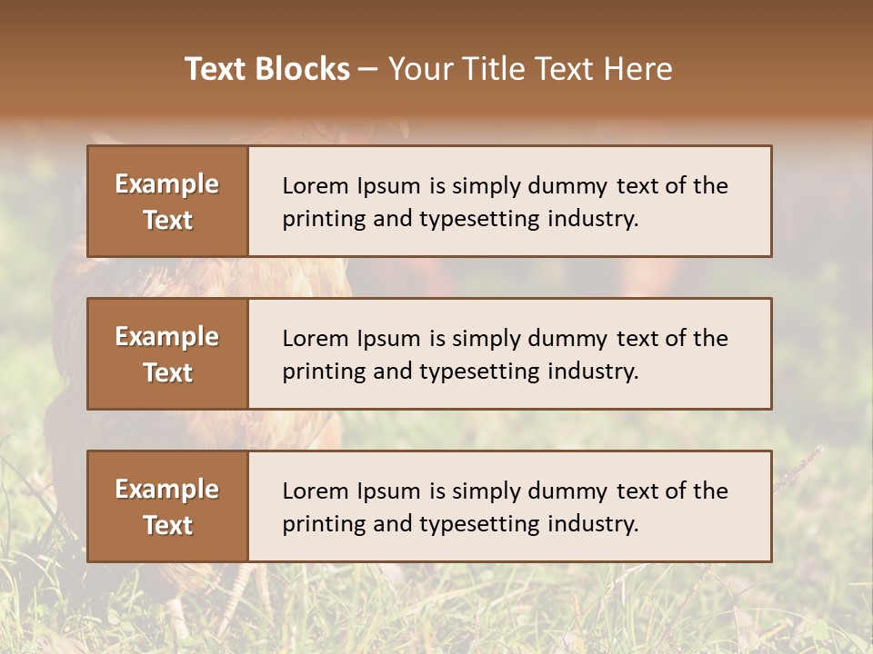 Home House Unit PowerPoint Template