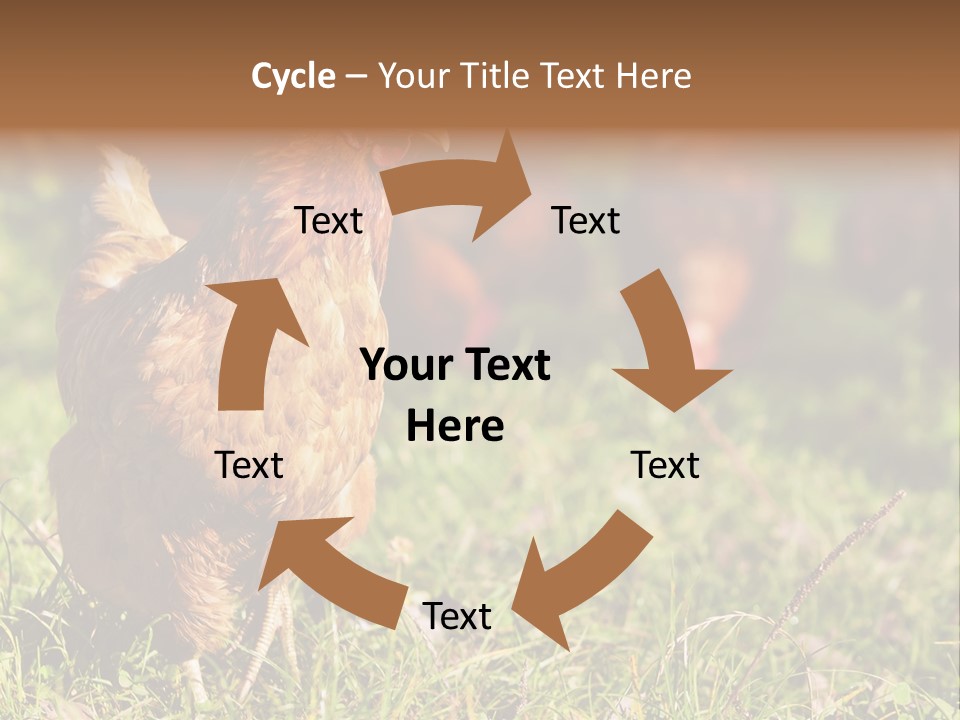Home House Unit PowerPoint Template