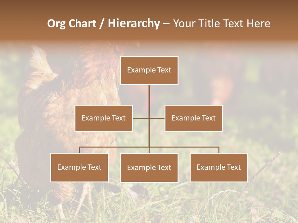 Home House Unit PowerPoint Template