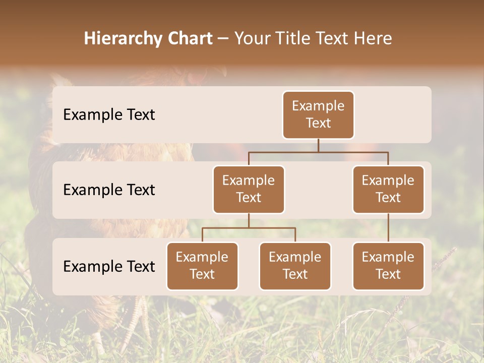 Home House Unit PowerPoint Template