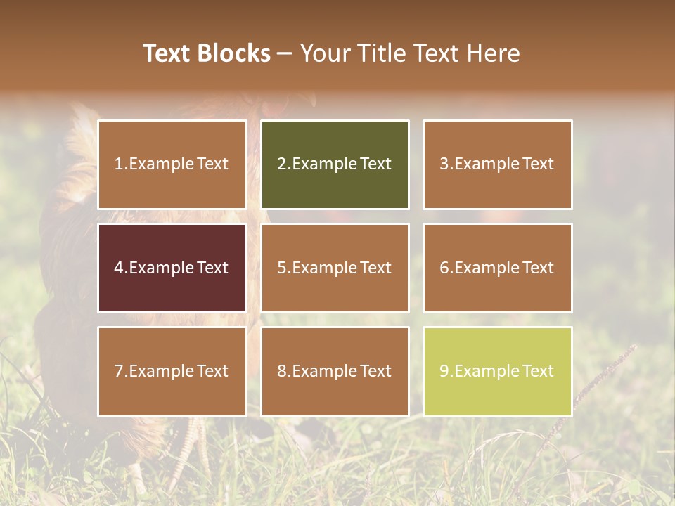 Home House Unit PowerPoint Template
