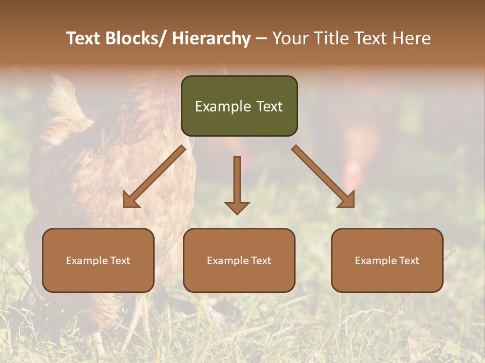 Home House Unit PowerPoint Template