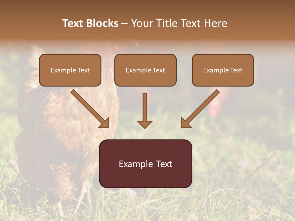 Home House Unit PowerPoint Template
