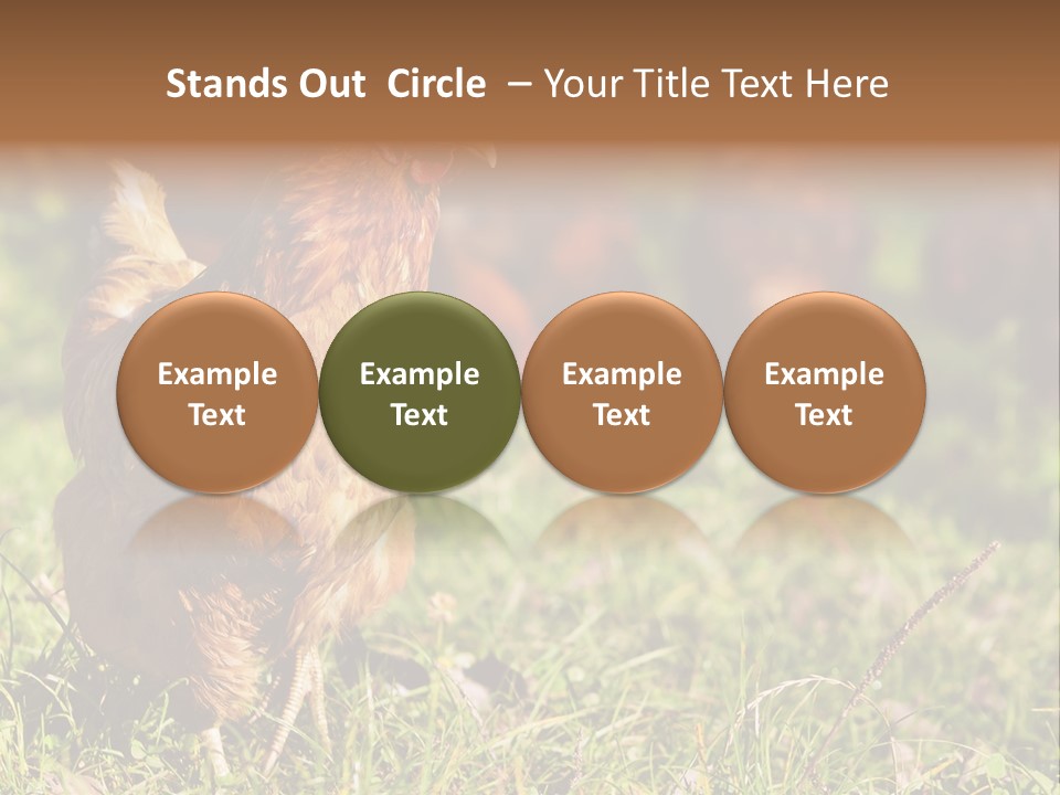 Home House Unit PowerPoint Template