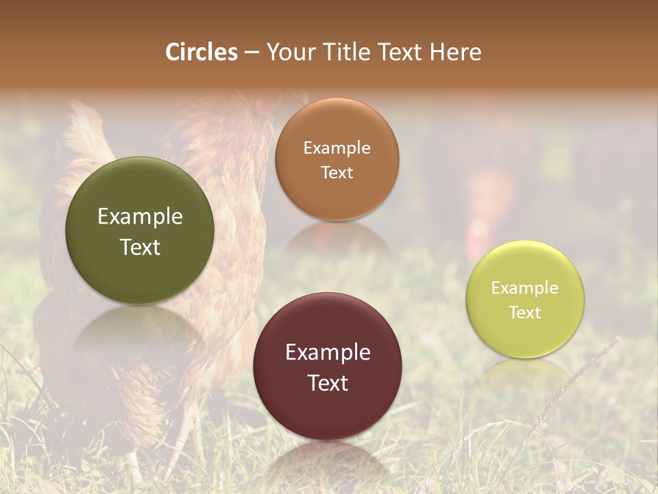 Home House Unit PowerPoint Template