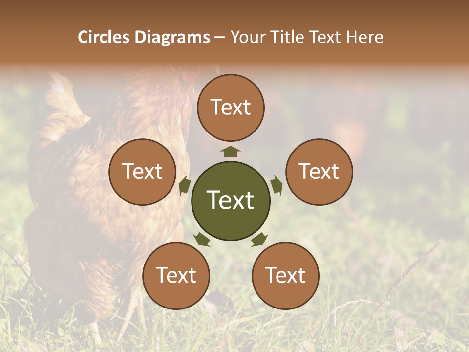 Home House Unit PowerPoint Template