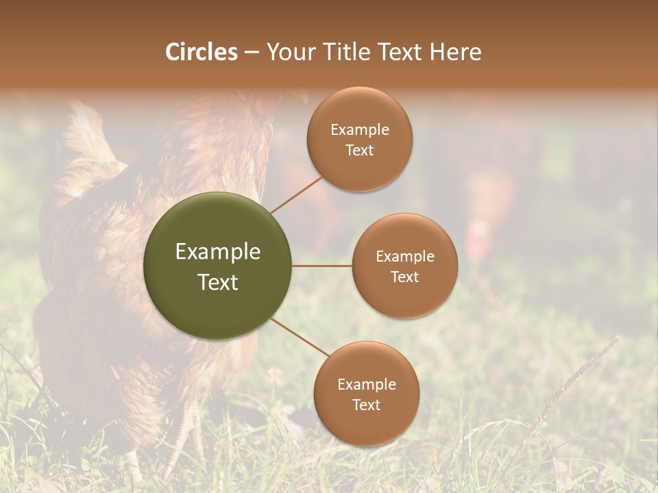 Home House Unit PowerPoint Template