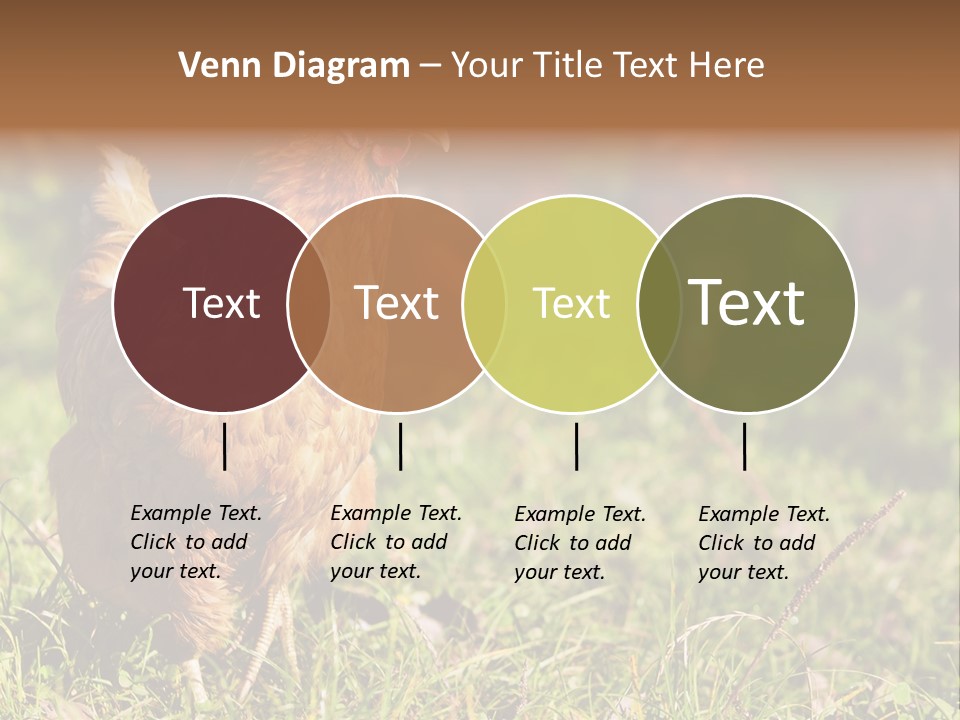 Home House Unit PowerPoint Template