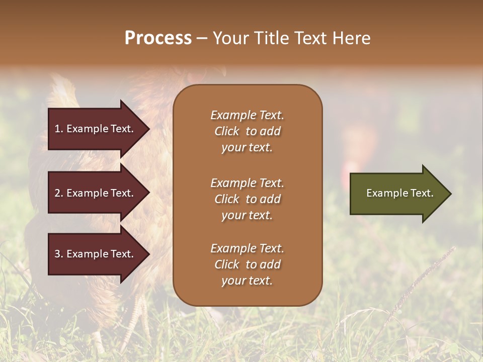 Home House Unit PowerPoint Template