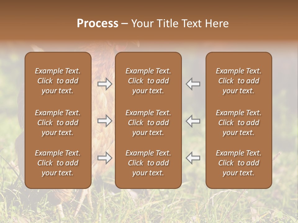 Home House Unit PowerPoint Template