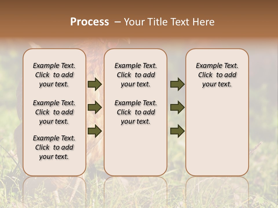 Home House Unit PowerPoint Template