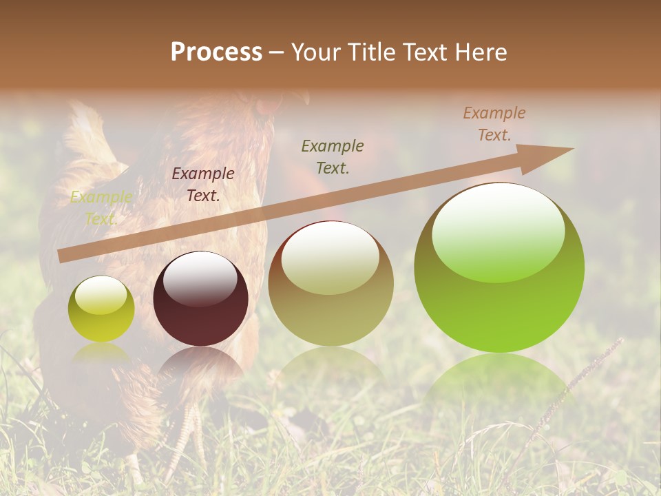 Home House Unit PowerPoint Template