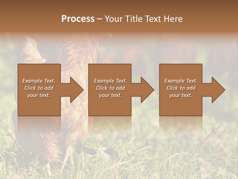 Home House Unit PowerPoint Template
