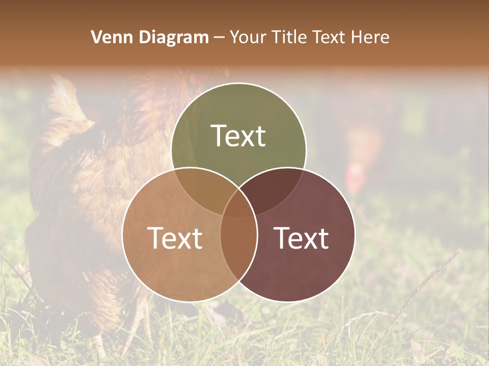 Home House Unit PowerPoint Template